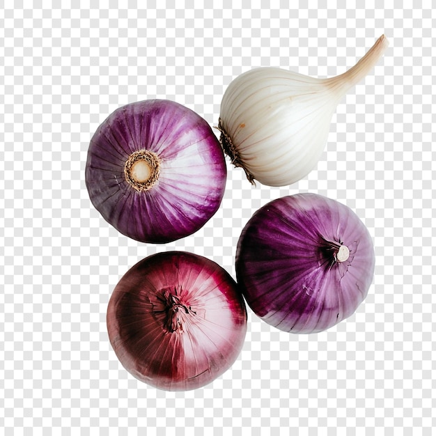 cebollas rojas vibrantes y ajo naturaleza muerta