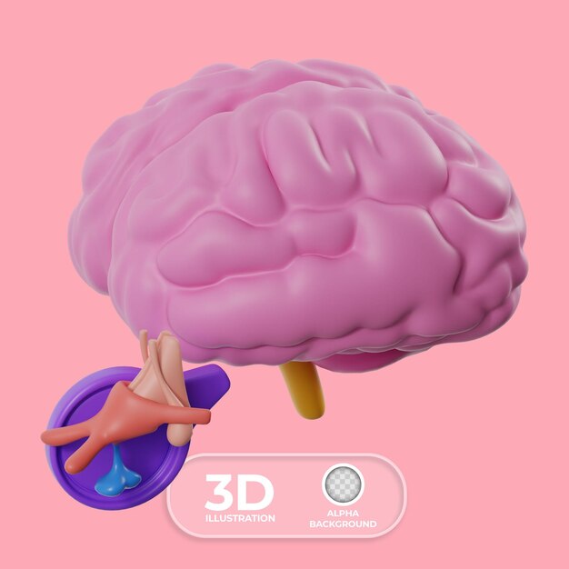 El cerebro con la glándula pituitaria Ilustración 3D