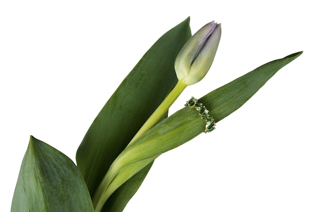 PSD gratuito cerrar el anillo dorado del tulipán