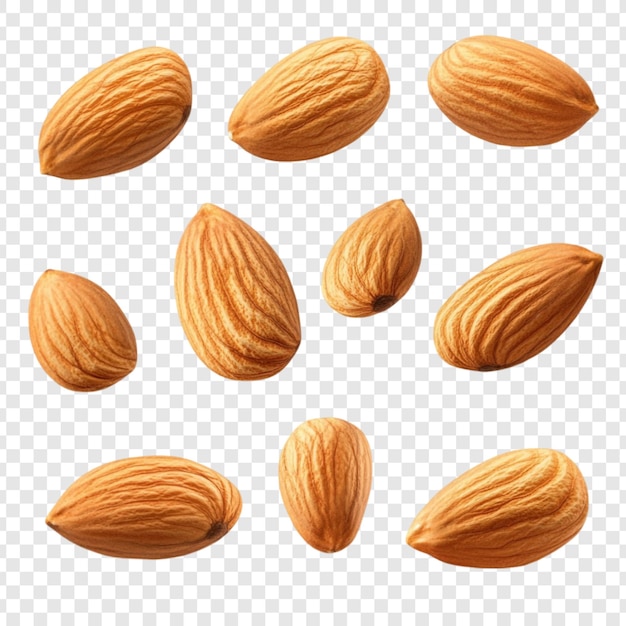 Una colección de almendras Imagen de alta calidad de almendas deliciosas y nutritivas