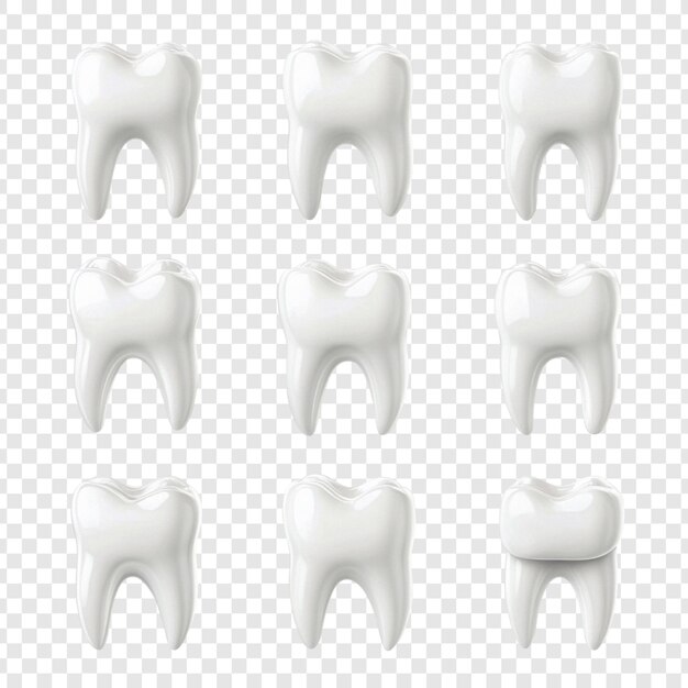 Colección de dientes renderizados en 3D realistas