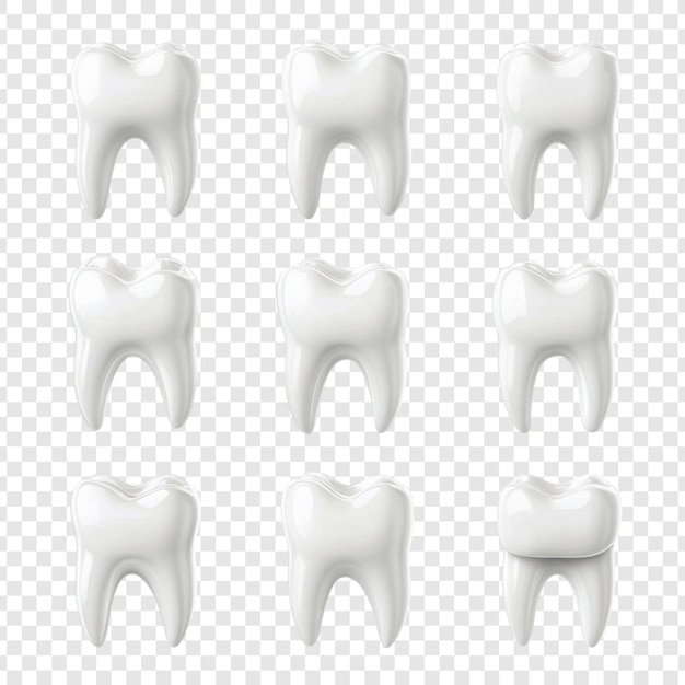 Colección de dientes renderizados en 3D realistas