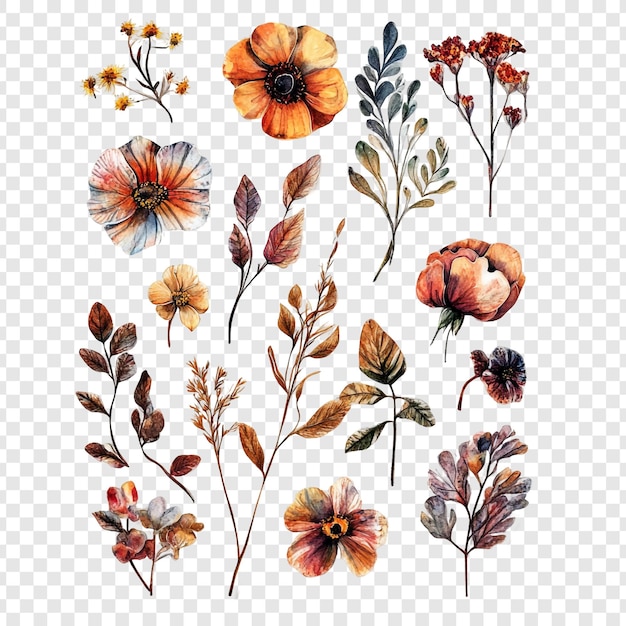 Colección floral de acuarelas de otoño Una deliciosa variedad de flores rústicas y ramas delicadas