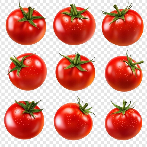 Colección de nueve jugosos tomates rojos aislados en un fondo transparente perfectos para diseños culinarios e ilustraciones de alimentos