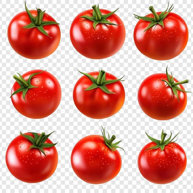 Colección de nueve jugosos tomates rojos aislados en un fondo transparente perfectos para diseños culinarios e ilustraciones de alimentos