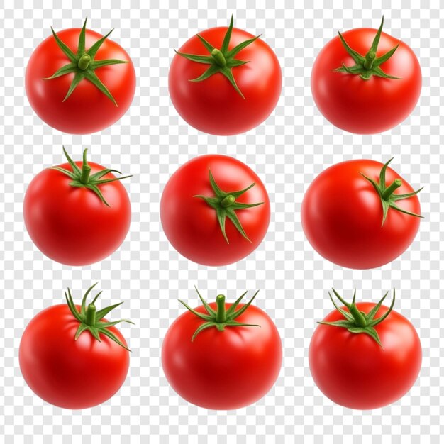 Colección de nueve tomates rojos una vibrante exhibición de tomates frescos maduros perfectos para creaciones y diseños culinarios