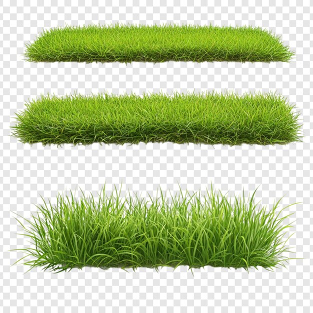 Colección de pastizales de hierba verde exuberante perfectos para proyectos de diseño