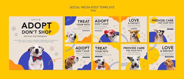 Colección de publicaciones de instagram para adopción de mascotas con perro