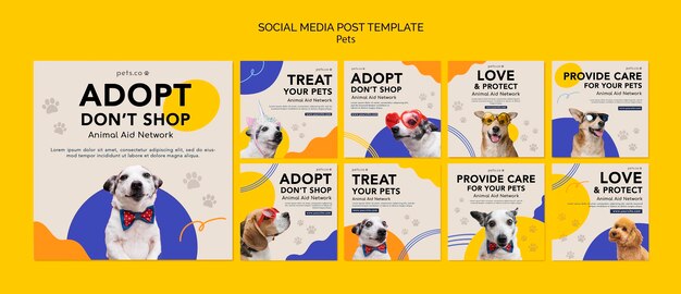 Colección de publicaciones de Instagram para adopción de mascotas con perro