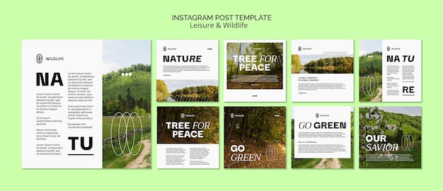 PSD gratuito colección de publicaciones de instagram de ocio y vida salvaje