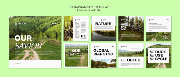 PSD gratuito colección de publicaciones de instagram de ocio y vida salvaje