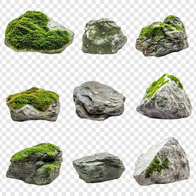 Colección de rocas de musgo Nueve texturas de piedra únicas