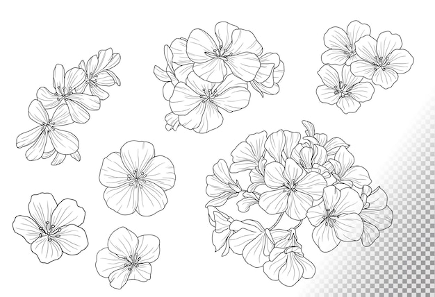 Gratis PSD collectie van prachtige bloemen doodles
