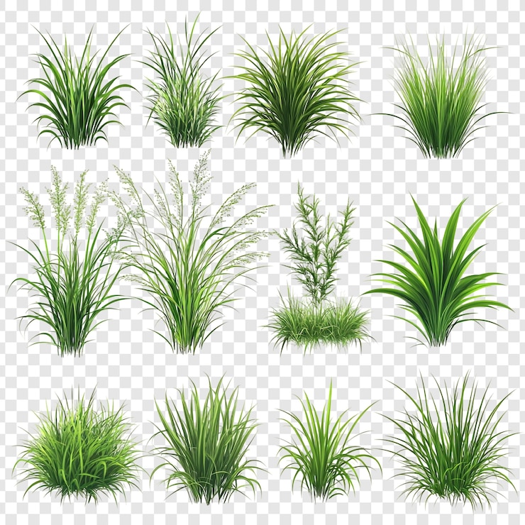 PSD Gratis collection of green grass and plants diverse set of realistic botanical illustrations
