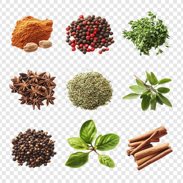 Collezione di spezie e erbe aromatiche Ingredienti freschi e secchi per la cottura