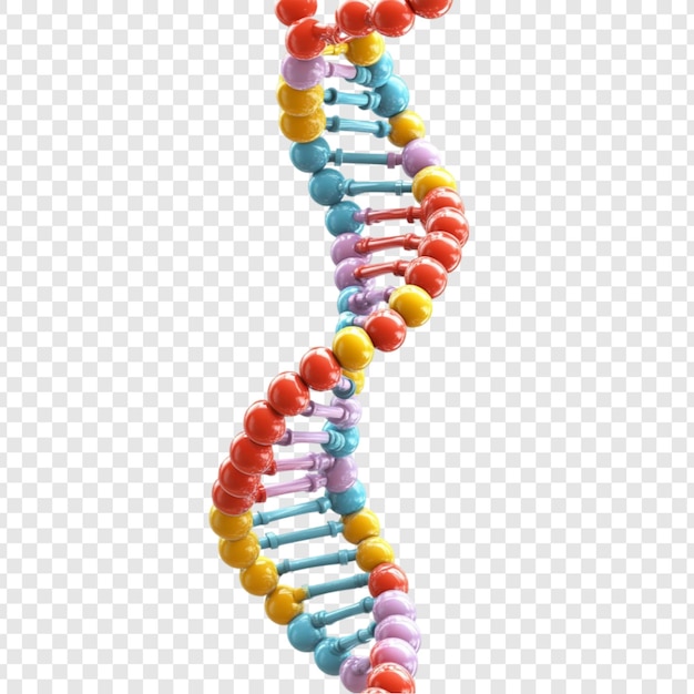 La colorida hélice de ADN girando alegremente representa el código de la vida