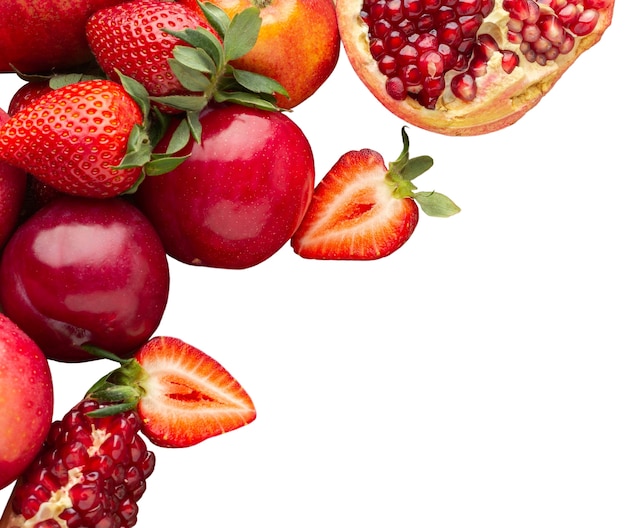 Composición de los frutos aislados