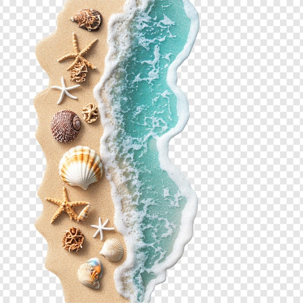 Las conchas y las olas del océano Una escena de playa de verano