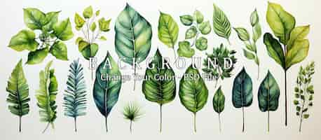 PSD gratuito conjunto de hojas tropicales de acuarela.