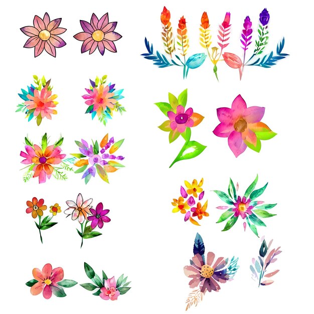 Conjunto de ilustración de ramo floral acuarela
