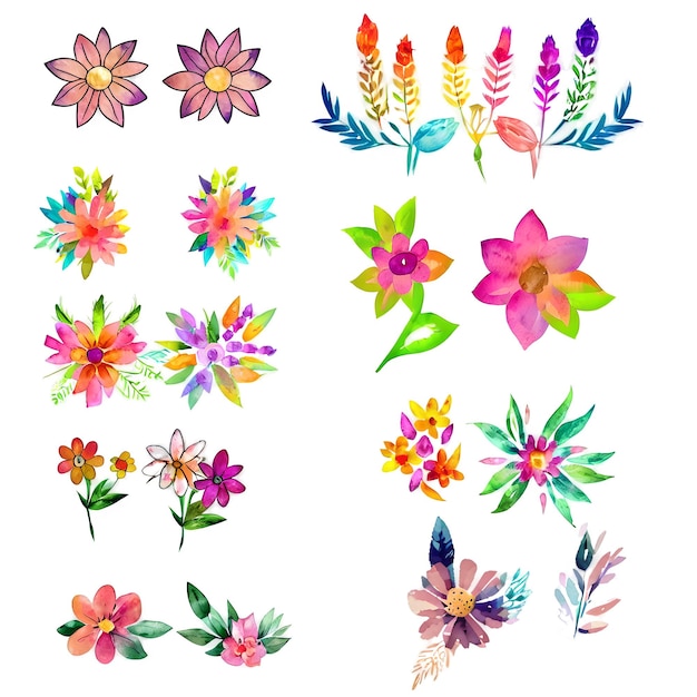 Conjunto de ilustración de ramo floral acuarela