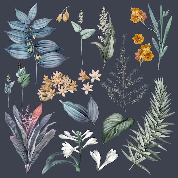 Conjunto de ilustraciones de flores y plantas.