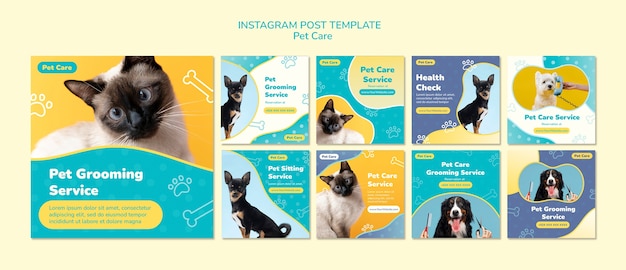 PSD gratuito conjunto de publicaciones de instagram de trabajo de cuidado de mascotas