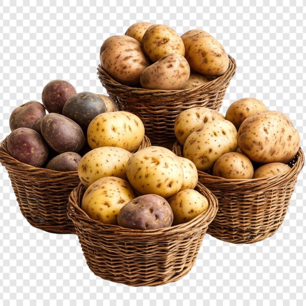 Una cosecha deliciosa Tres cestas llenas de patatas frescas