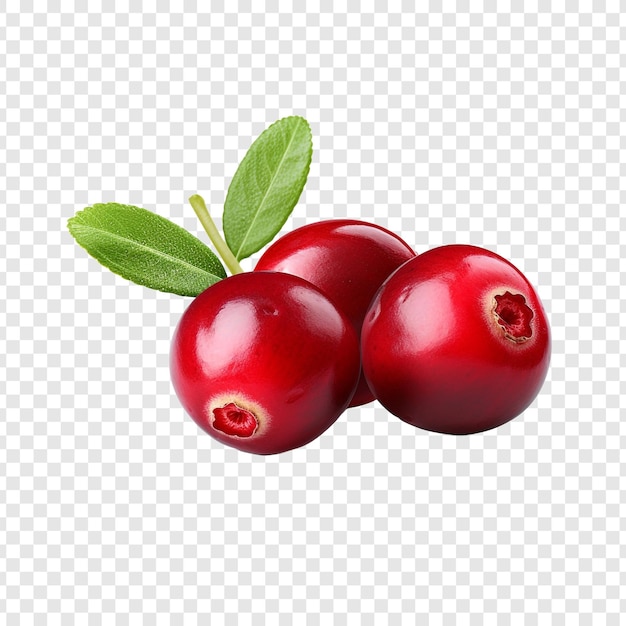 Cranberry geïsoleerd op transparante achtergrond