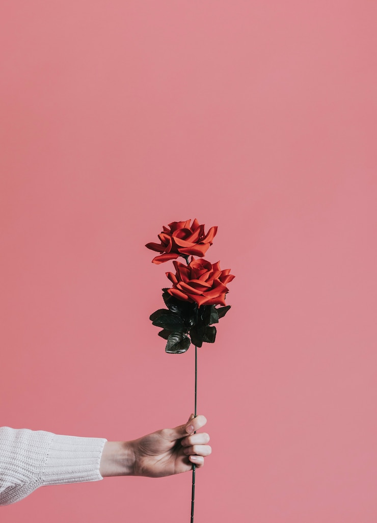 PSD gratuito dare una rosa per san valentino