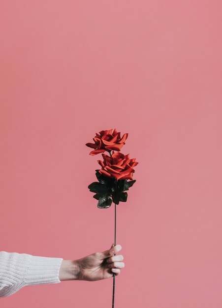 Dare una rosa per San Valentino