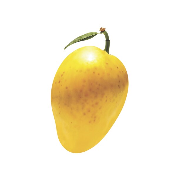 Un delicioso mango en el estudio.
