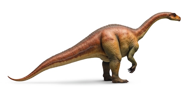 Dinosaurios realistas aislados