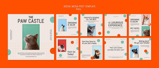 Disegno del modello di animali domestici del post di instagram