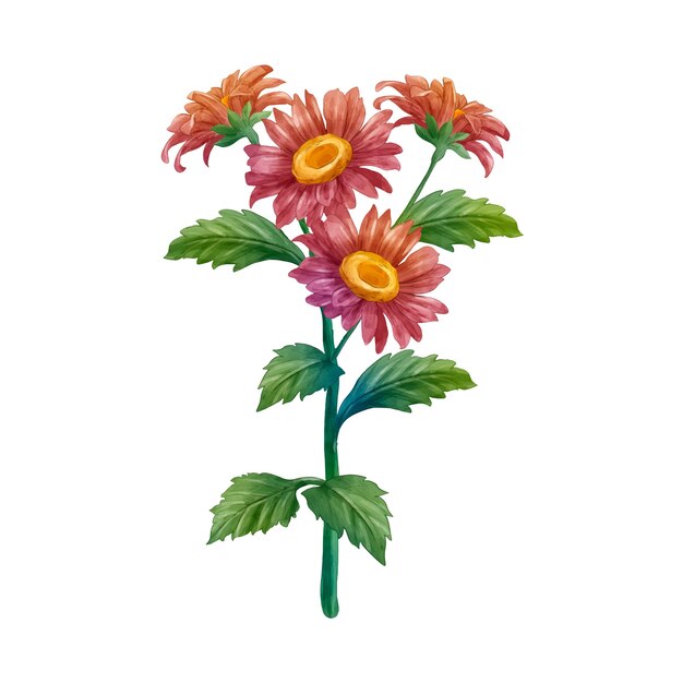 Diseño de flores botánicas.