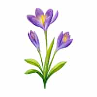 PSD gratuito diseño de flores botánicas.