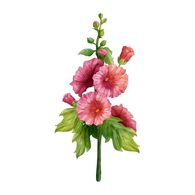 Diseño de flores botánicas.
