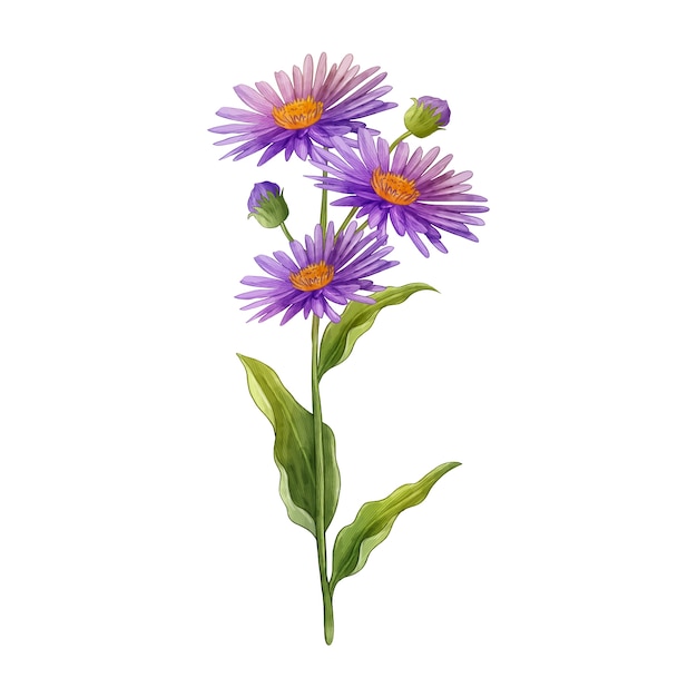 PSD gratuito diseño de flores botánicas.