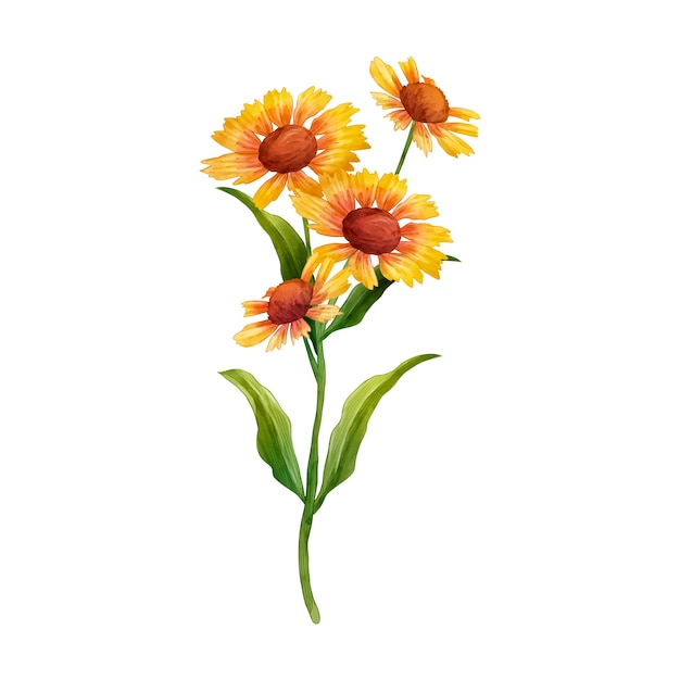 Diseño de flores botánicas.