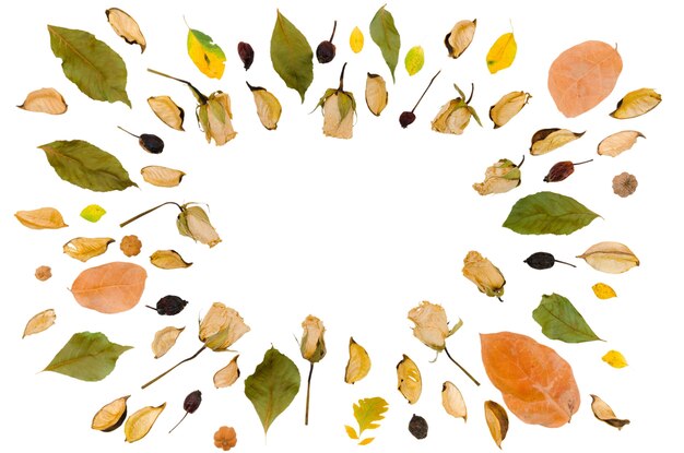 Diseño del marco de follaje de otoño