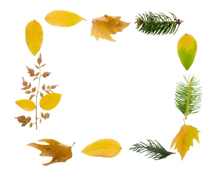 PSD gratuito diseño del marco de follaje de otoño