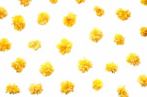 PSD gratuito diseño de patrones florales aislados