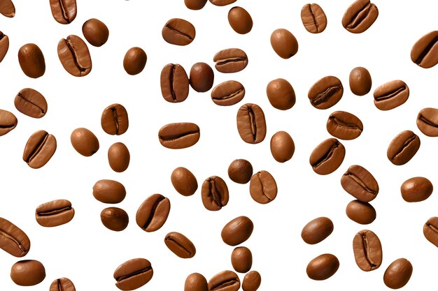 Diseño de patrones de granos de café