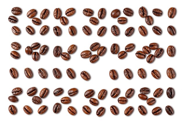 Diseño de patrones de granos de café