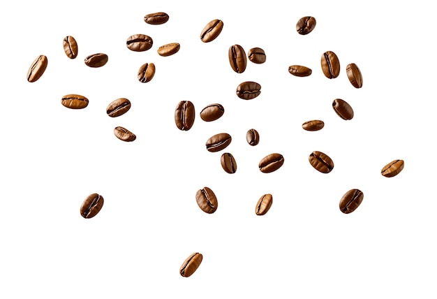 Diseño de patrones de granos de café