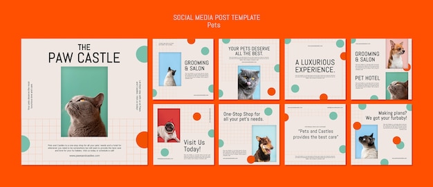 PSD gratuito diseño de plantilla de mascotas de publicación de instagram