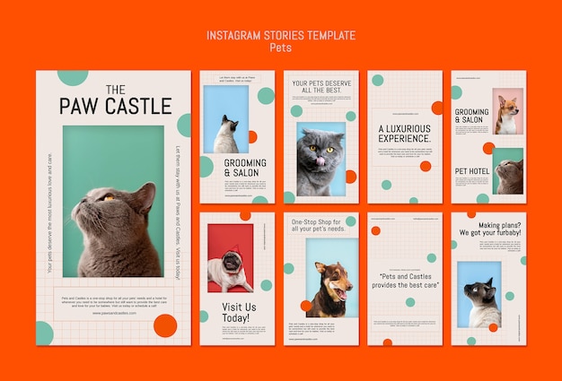 Diseño de plantillas de mascotas de historias de instagram.