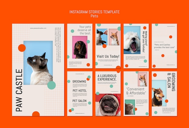 PSD gratuito diseño de plantillas de mascotas de historias de instagram.