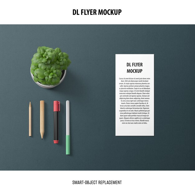 DL Flyer Mockup