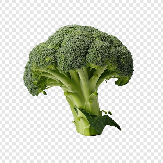 Gratis PSD een broccoli 3d geïsoleerd op transparante achtergrond